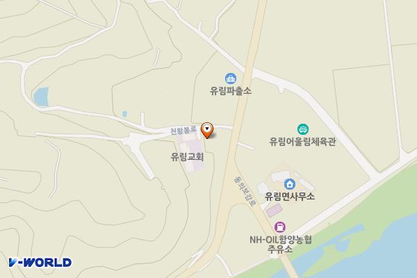 유림정류장 위치 지도 — 경상남도 함양군 유림면 천왕봉로 2875-1