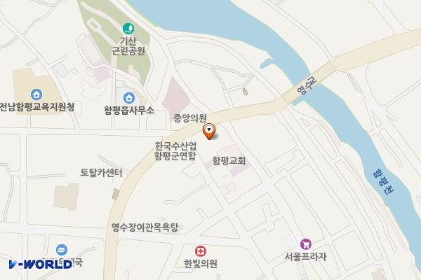 함평읍공영주차장(유료주차장) 위치 지도 — 전라남도 함평군 함평읍 중앙길 114-3