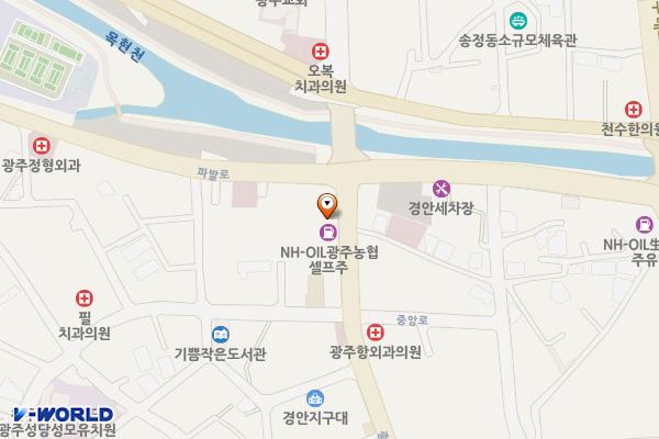 광주농협주유소 위치 지도 — 경기도 광주시 중앙로 153