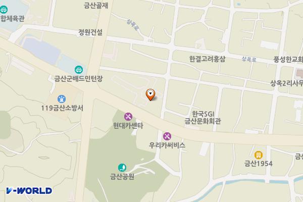 노상주차장(소방서 ~ 낙원아파트) 위치 지도 — 충청남도 금산군 금산읍 비단로 9