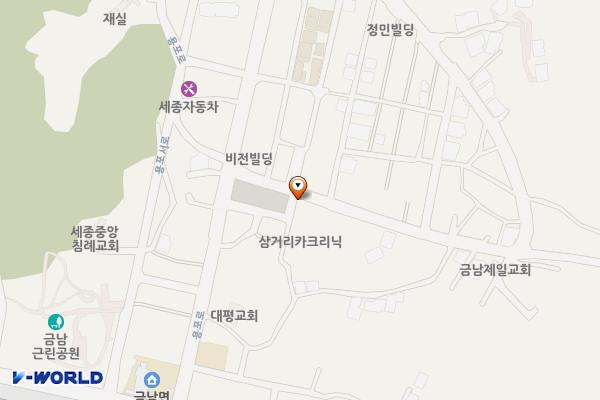 대평시장 공중화장실 위치 지도 — 세종특별자치시 금남면 용포느티나무길 22