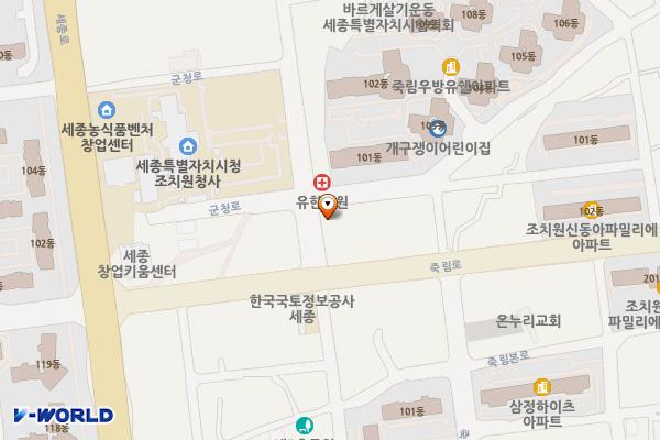 조치원GR빌딩 위치 지도 — 세종특별자치시 조치원읍 군청로 86, 조치원GR빌딩