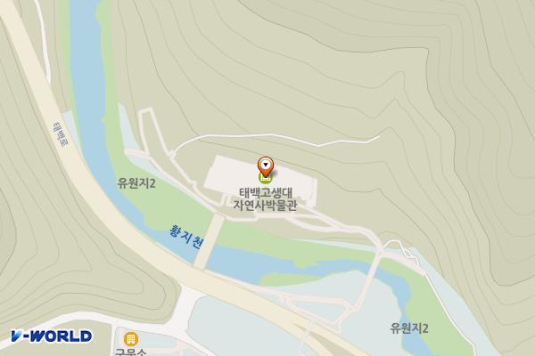 자연사박물관앞 위치 지도 — 강원특별자치도 태백시 태백로 2249