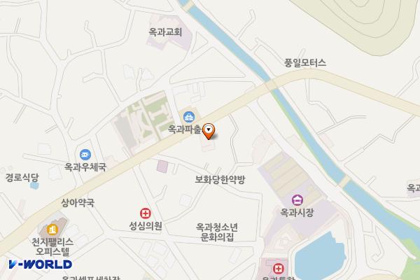 옥과버스터미널 위치 지도 — 전남광주통합특별시 곡성군 옥과면 대학로 156-1
