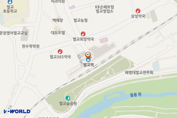벌교역 위치 지도 — 전남광주통합특별시 보성군 벌교읍 채동선로 228