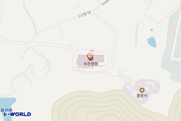 보은병원 위치 지도 — 전남광주통합특별시 화순군 도곡면 고인돌1로 282-14