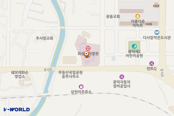 화순고려병원 위치 지도 — 전남광주통합특별시 화순군 화순읍 충의로 109