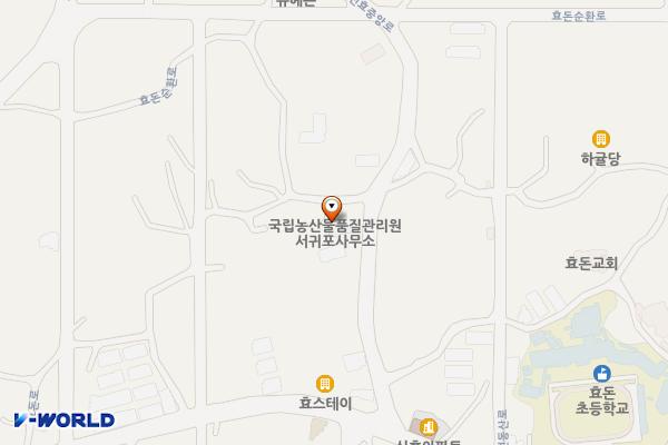 국립농산물품질관리원 제주지원 서귀포사무소 위치 지도 — 제주특별자치도 서귀포시 신효중앙로17