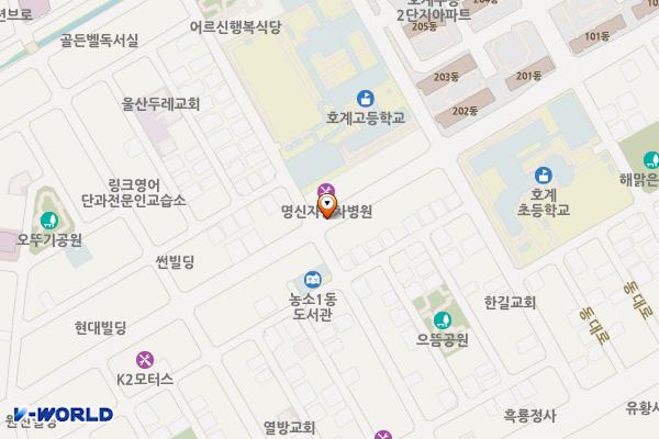 호계동대중앙로 포켓주차장 위치 지도 — 울산광역시 북구 호계동대중앙로 307