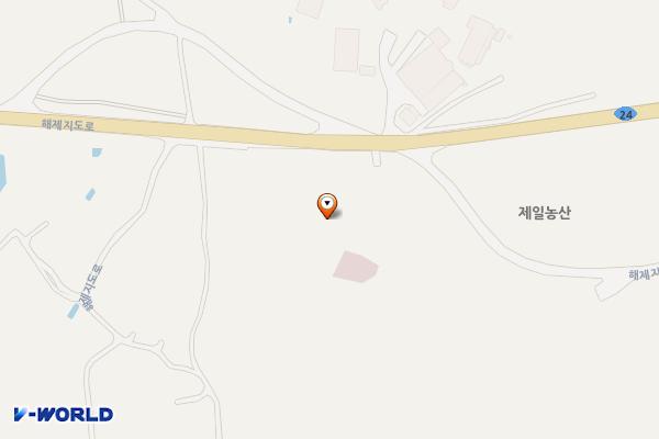 북신안농협 장례식장 주차장 위치 지도 — 전남광주통합특별시 신안군 지도읍 광정리 184번지