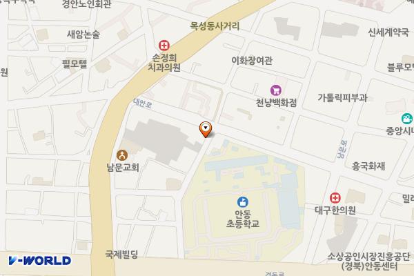 안동초등서편 노상유료 위치 지도 — 경상북도 안동시 남문동 222-26