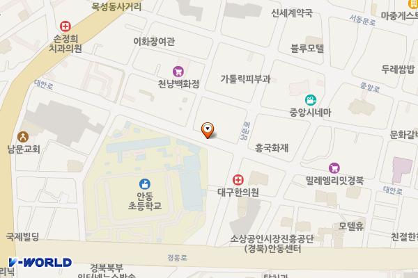 대안로2 노상유료 위치 지도 — 경상북도 안동시 남문동 229-1