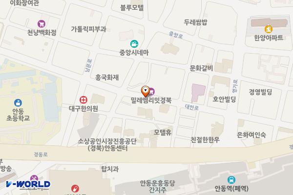 대안로1 노상유료 위치 지도 — 경상북도 안동시 남부동 250-1