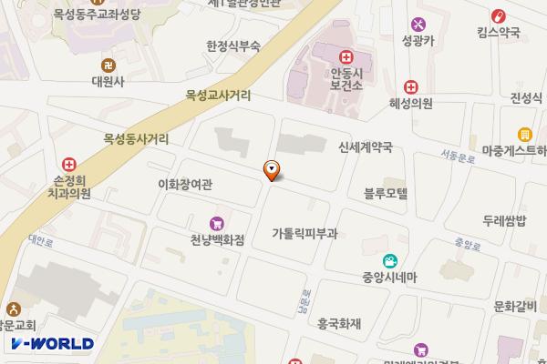 중앙로2 노상유료 위치 지도 — 경상북도 안동시 서부동 152-2