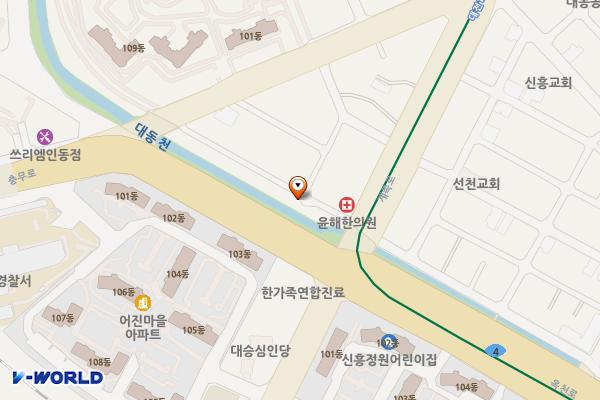 신흥초~제1치수교 하상주차장 위치 지도 — 대전광역시 동구 신흥동206-3