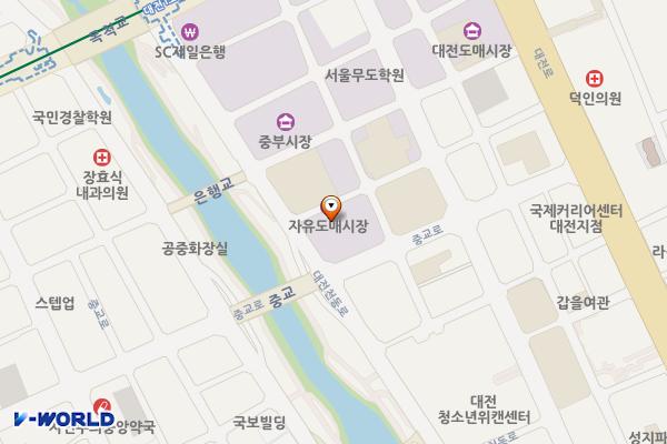 원동인동 노상 위치 지도 — 대전광역시 동구 원동62-5