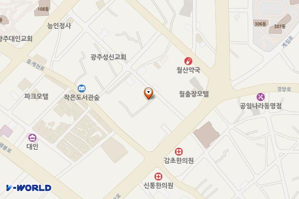 대인주차장 위치 지도 — 광주광역시 동구 구성로238번길 24