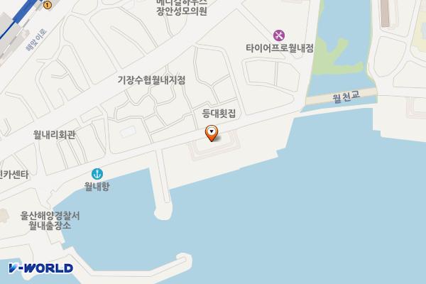 월내리 공유수면 매립지 노외공영주차장 위치 지도 — 부산광역시 기장군 장안읍 월내리 667