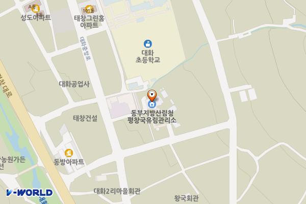 평창국유림관리소 주차장 위치 지도 — 강원특별자치도 평창군 대화면 대화중앙2길 11-3
