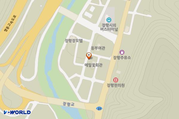 고려회관 앞 공영주차장 위치 지도 — 강원특별자치도 평창군 용평면 금송1길 14