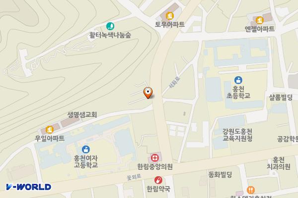 대명광고↔토우아파트 위치 지도 — 강원특별자치도 홍천군 홍천읍 희망리 319-10