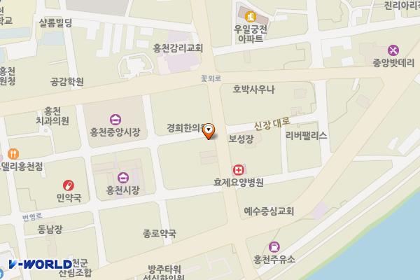 다이소↔일가무교동낙지 위치 지도 — 강원특별자치도 홍천군 홍천읍 신장대리 8-4