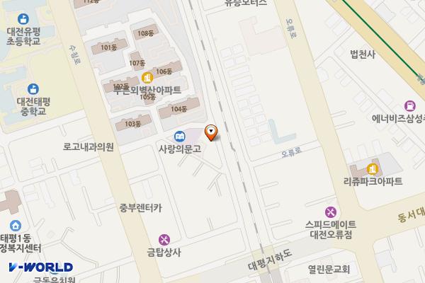 태평1동제5노상 위치 지도 — 대전광역시 중구 동서대로1273번길 31