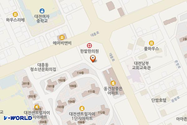 대흥동제11노상 위치 지도 — 대전광역시 중구 수도산로47번길 48