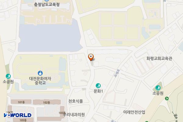 문화1동제4노외 위치 지도 — 대전광역시 중구 문화동 259-6