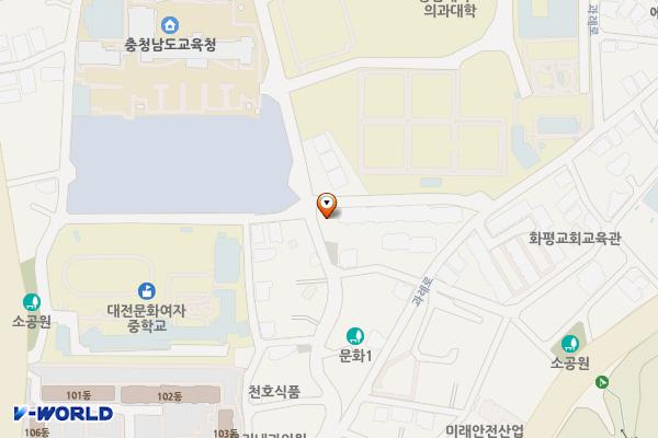 문화1동제3노외 위치 지도 — 대전광역시 중구 문화동 263-10