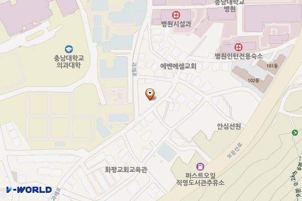 문화1동제7노외 위치 지도 — 대전광역시 중구 문화동 13-9