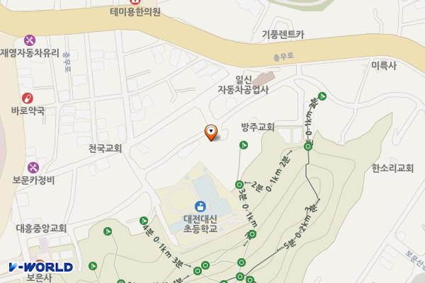 대사동제4노외 위치 지도 — 대전광역시 중구 대사동 233-38
