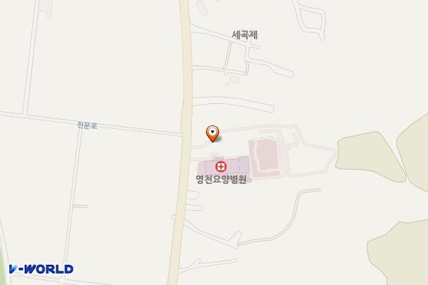 영천요양병원 위치 지도 — 경상북도 영천시 천문로594