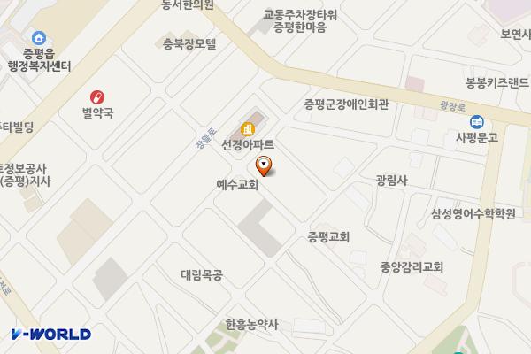 대동리 11, 11-3, 12-3(나대지) 위치 지도 — 충청북도 증평군 증평읍 대동리 11, 11-3, 12-3
