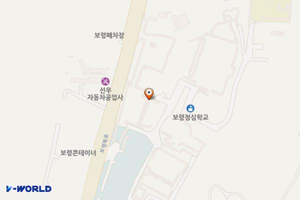 충남정심원 정심실내수영장 주차장 위치 지도 — 충청남도 보령시 주교면 관창리 407-4