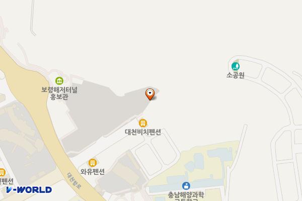 보령해저터널 홍보관 공영주차장 위치 지도 — 충청남도 보령시 신흑동 2204-1