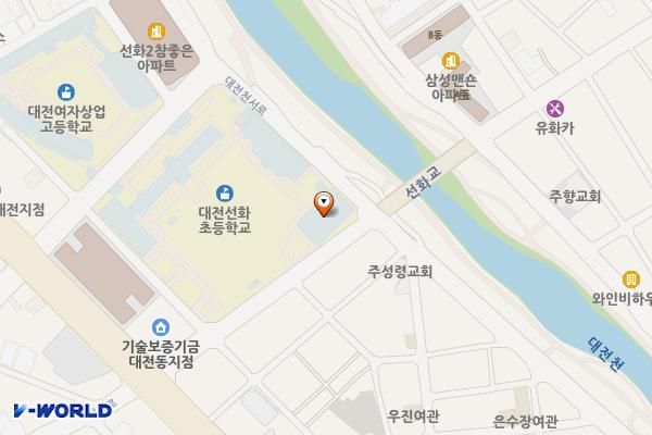 대전 선화초등학교 위치 지도 — 대전광역시 중구 선화로 159