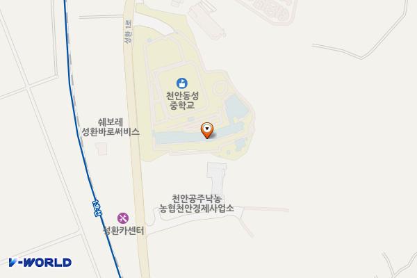 천안동성중학교 위치 지도 — 충남 천안시 서북구 성환읍 성환1로 138 (매주리, 천안동성중학교)