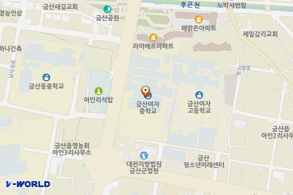 충남 금산 금산여자중학교 위치 지도 — 충남 금산군 금산읍 인삼로 11 (아인리, 금산여자중학교)