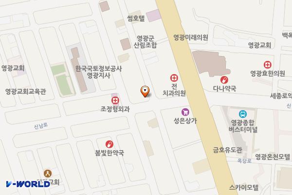 대신지구 1공영주차장 위치 지도 — 전남광주통합특별시 영광군 영광읍 신남로 163