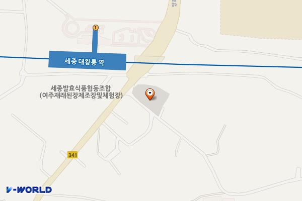 세종대왕면 인근 위치 지도 — 경기도 여주시 세종대왕면 신지리 717-7