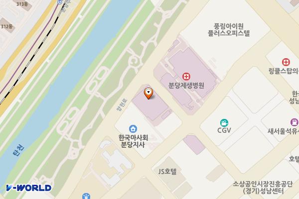 분당제생병원별관 급속충전소 위치 지도 — 경기도 성남시 분당구 황새울로341번길 23