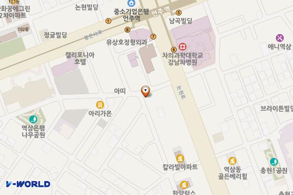 서울 더채플청담빌딩 위치 지도 — 서울 강남구 역삼동 607-21