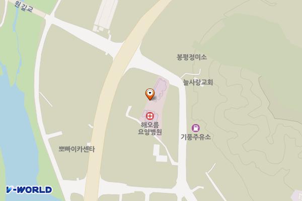 평창 해오름자연요양병원 위치 지도 — 강원특별자치도 평창군 봉평면 기풍로 199