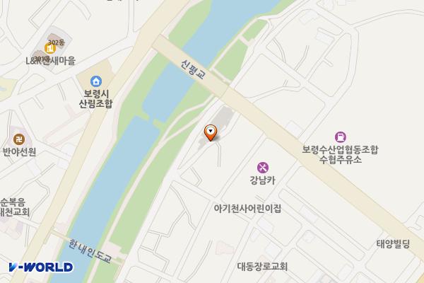 금암리 공영주차장 위치 지도 — 충청남도 보령시 주산면 금암리 63-1