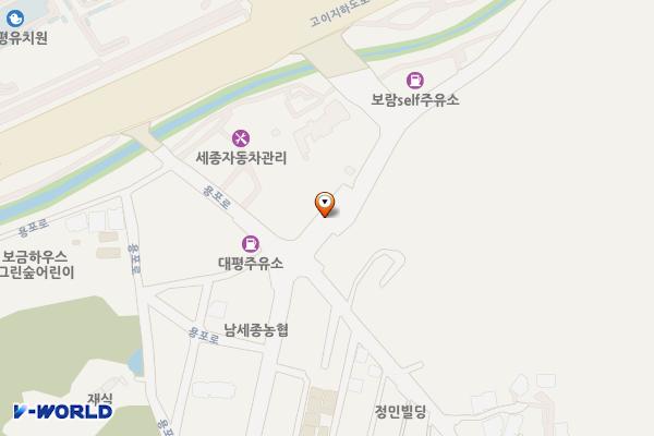 용포로 공영주차장 위치 지도 — 세종특별자치시 금남면 신촌리 297-11