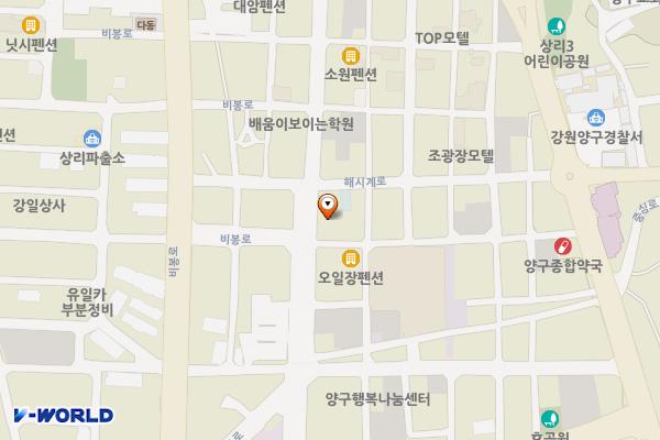 해피플라워 옆 위치 지도 — 강원특별자치도 양구군 양구읍 상리 231-3