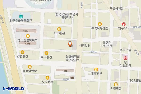 농협군지부 옆(최가네) 위치 지도 — 강원특별자치도 양구군 양구읍 상리 520