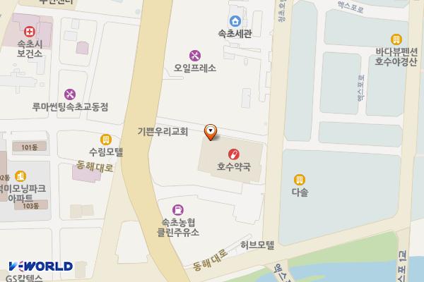 속초농협하나로마트 엑스포점 위치 지도 — 강원특별자치도 속초시 동해대로 4202