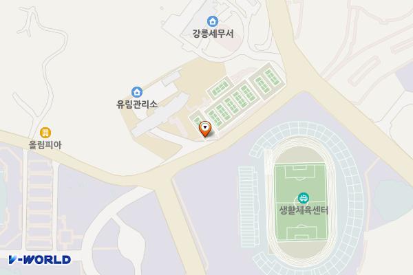동부지방산림청 위치 지도 — 강원특별자치도 강릉시 교동 408-10